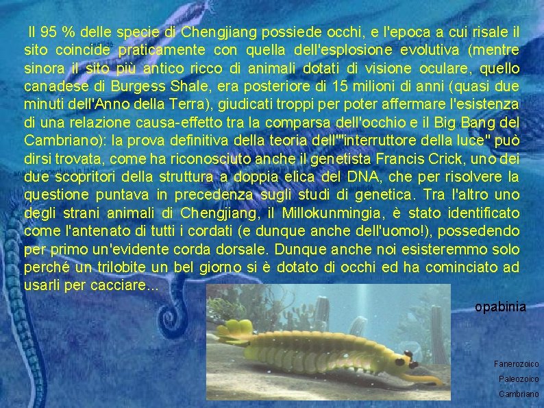  Il 95 % delle specie di Chengjiang possiede occhi, e l'epoca a cui