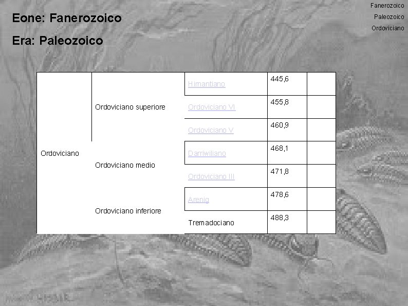 Fanerozoico Eone: Fanerozoico Paleozoico Ordoviciano Era: Paleozoico Hirnantiano Ordoviciano superiore Ordoviciano VI Ordoviciano V