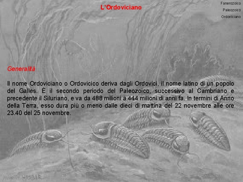 L’Ordoviciano Fanerozoico Paleozoico Ordoviciano Generalità Il nome Ordoviciano o Ordovicico deriva dagli Ordovici, il