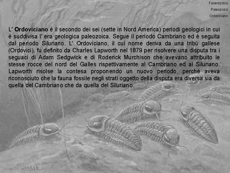 Fanerozoico Paleozoico Ordoviciano L' Ordoviciano è il secondo dei sei (sette in Nord America)
