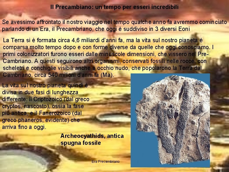 Il Precambiano: un tempo per esseri incredibili Se avessimo affrontato il nostro viaggio nel