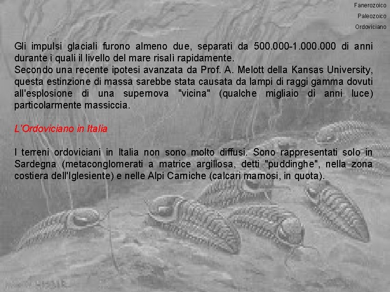 Fanerozoico Paleozoico Ordoviciano Gli impulsi glaciali furono almeno due, separati da 500. 000 -1.