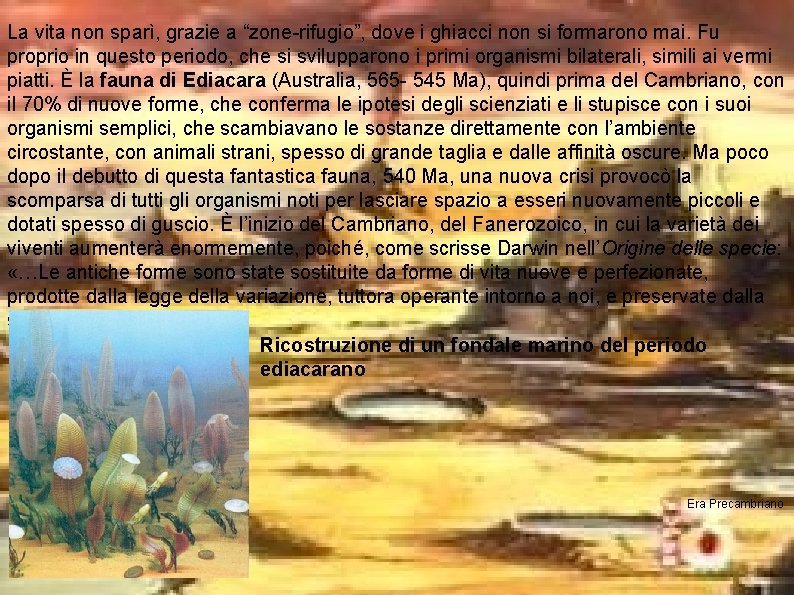 La vita non sparì, grazie a “zone-rifugio”, dove i ghiacci non si formarono mai.