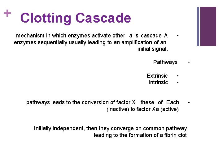 + Clotting Cascade mechanism in which enzymes activate other a is cascade A enzymes
