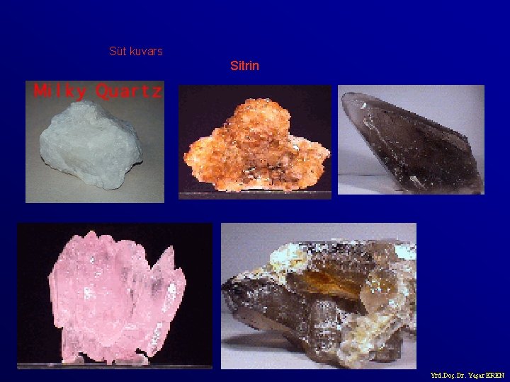 Süt kuvars Sitrin Yrd. Doç. Dr. Yaşar EREN 