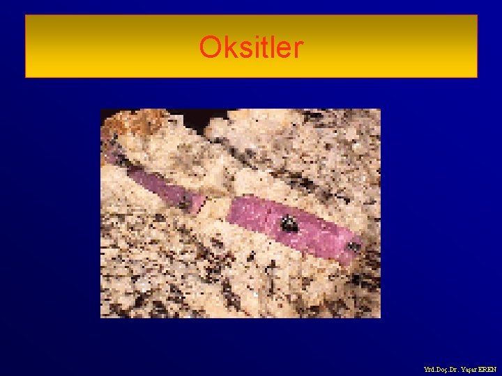 Oksitler Yrd. Doç. Dr. Yaşar EREN 