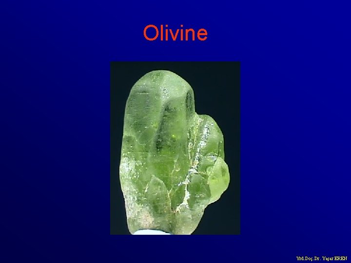 Olivine Yrd. Doç. Dr. Yaşar EREN 