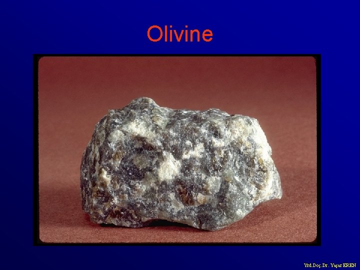 Olivine Yrd. Doç. Dr. Yaşar EREN 