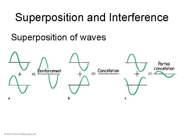 Superposition and Interference Superposition of waves © 2010 Pearson Education, Inc. 