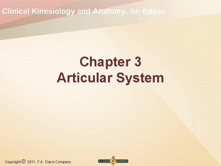 Clinical Kinesiology and Anatomy, 5 th Edition Chapter 3 Articular System Copyright © 2011.