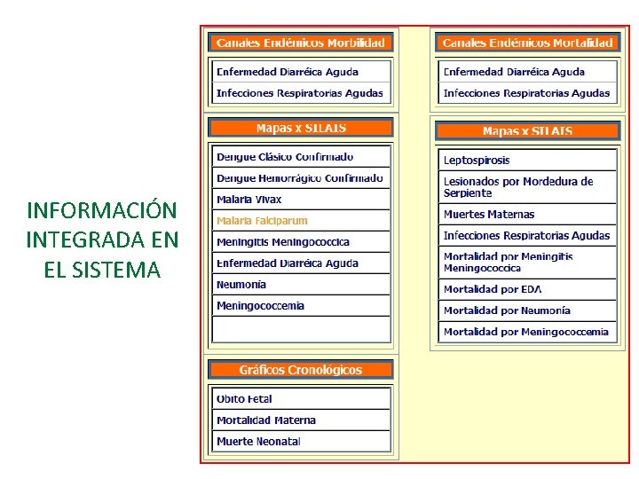 INFORMACIÓN INTEGRADA EN EL SISTEMA 