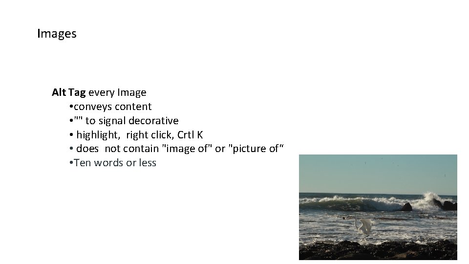 Images Alt Tag every Image • conveys content • "" to signal decorative •