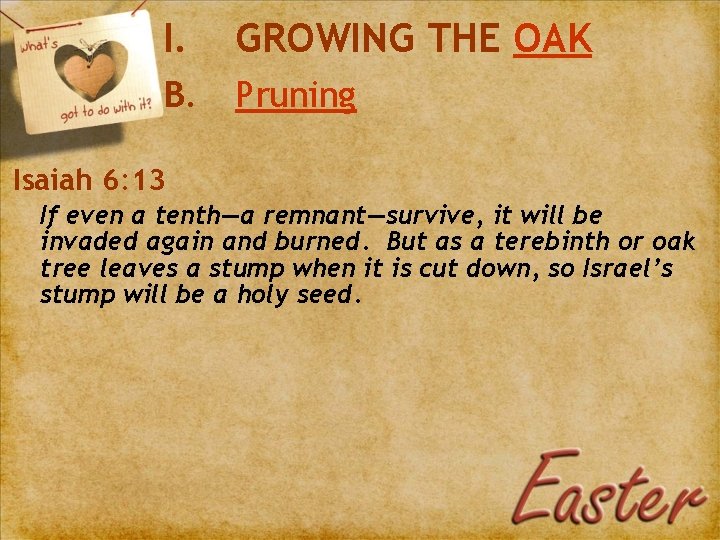 I. GROWING THE OAK B. Pruning Isaiah 6: 13 If even a tenth—a remnant—survive,