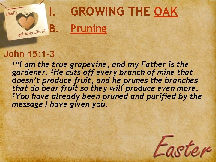 I. GROWING THE OAK B. Pruning John 15: 1 -3 1“I am the true
