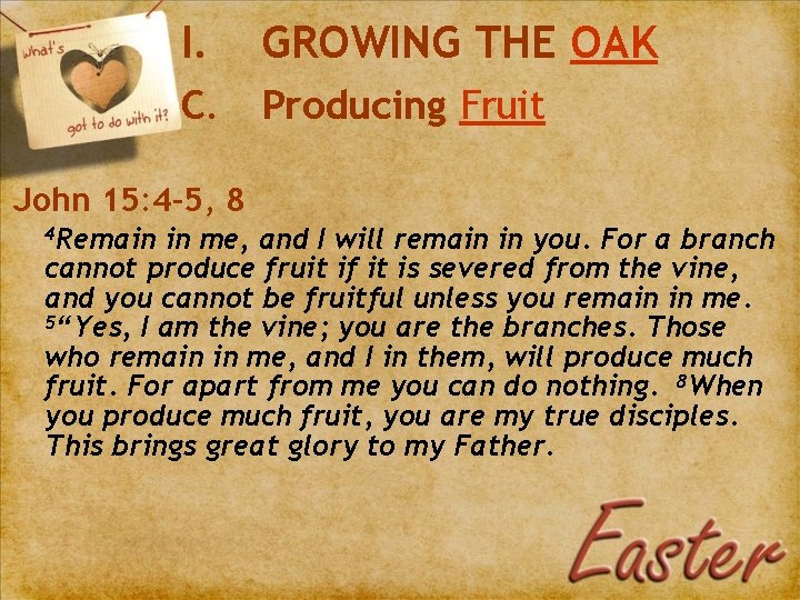 I. GROWING THE OAK C. Producing Fruit John 15: 4 -5, 8 4 Remain