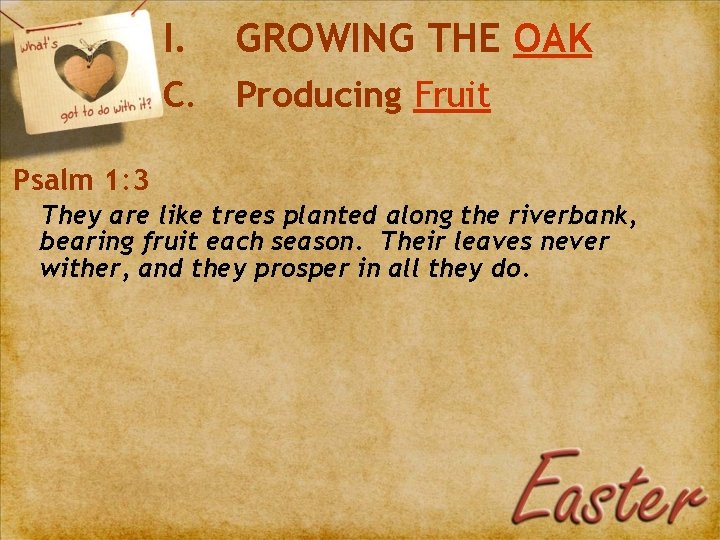 I. GROWING THE OAK C. Producing Fruit Psalm 1: 3 They are like trees