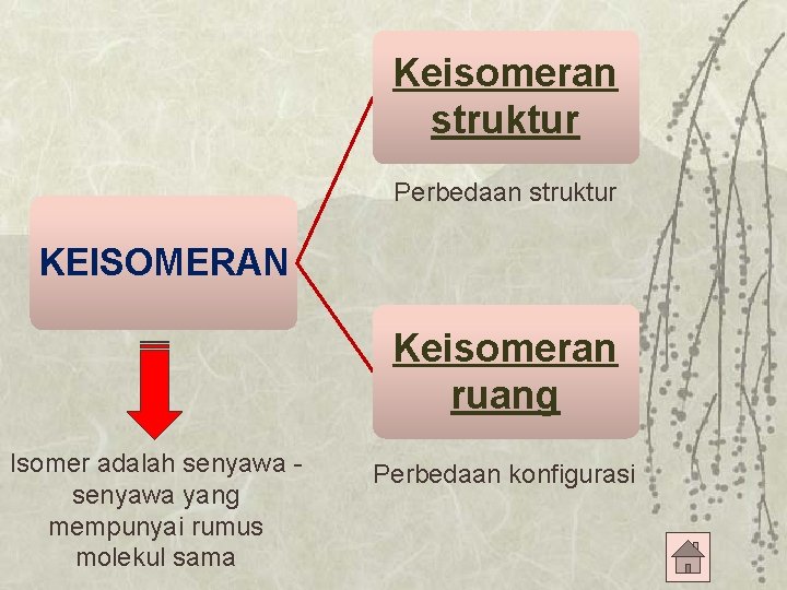 Keisomeran struktur Perbedaan struktur KEISOMERAN Keisomeran ruang Isomer adalah senyawa yang mempunyai rumus molekul