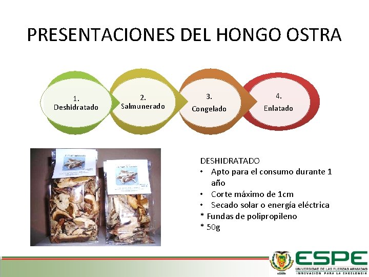 PRESENTACIONES DEL HONGO OSTRA 1. Deshidratado 2. Salmunerado 3. 4. Congelado Enlatado DESHIDRATADO •