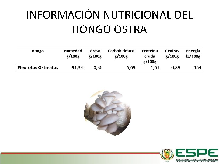 INFORMACIÓN NUTRICIONAL DEL HONGO OSTRA 