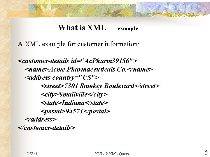 What is XML ---- example A XML example for customer information: <customer-details id="Ac. Pharm
