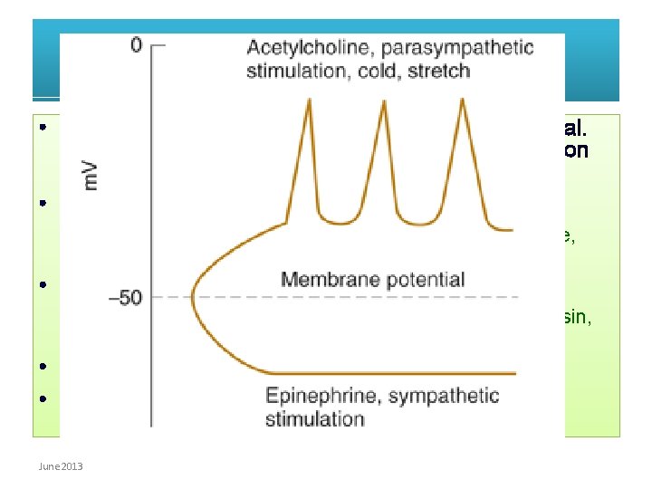 Stimulation • Stimulation may or may not result in action potential. The factors react