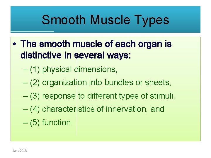 Smooth Muscle Types • The smooth muscle of each organ is distinctive in several