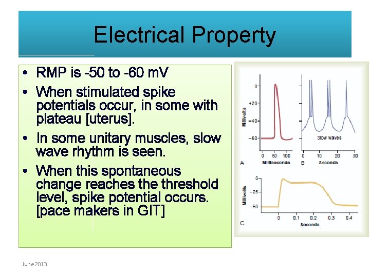 Electrical Property • RMP is -50 to -60 m. V • When stimulated spike