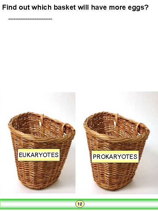 Find out which basket will have more eggs? ------------- EUKARYOTES PROKARYOTES 12 Find out which basket will have more eggs? ------------- EUKARYOTES PROKARYOTES 12
