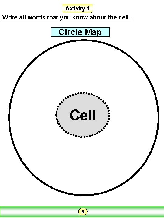 Activity 1 Write all words that you know about the cell. Circle Map Cell Activity 1 Write all words that you know about the cell. Circle Map Cell