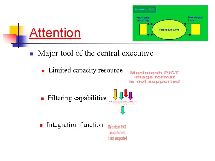 Attention n Major tool of the central executive n Limited capacity resource n Filtering