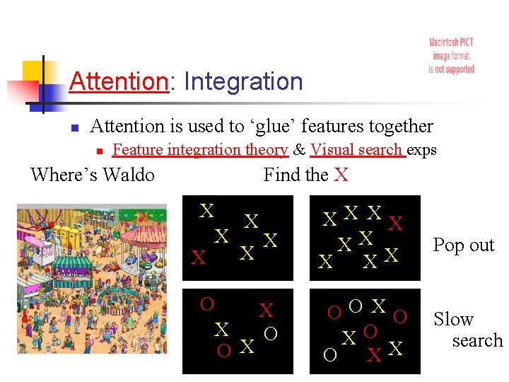Attention: Integration n Attention is used to ‘glue’ features together n Feature integration theory