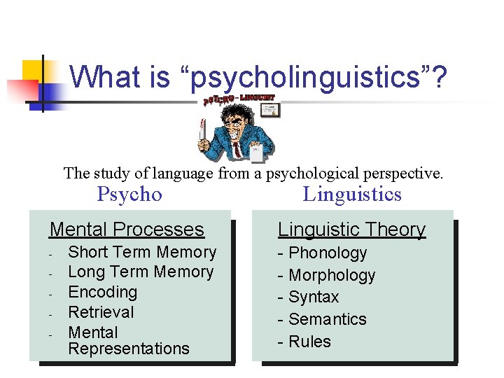 What is “psycholinguistics”? The study of language from a psychological perspective. Psycho Linguistics Mental