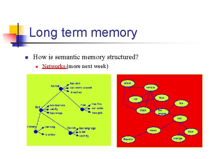 Long term memory n How is semantic memory structured? n Networks (more next week)