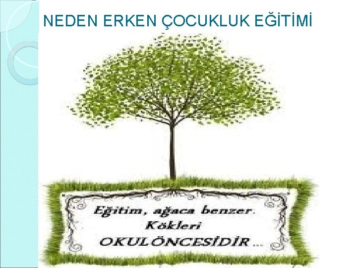 NEDEN ERKEN ÇOCUKLUK EĞİTİMİ 