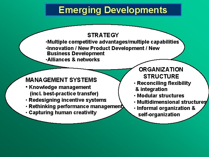 Emerging Developments STRATEGY • Multiple competitive advantages/multiple capabilities • Innovation / New Product Development