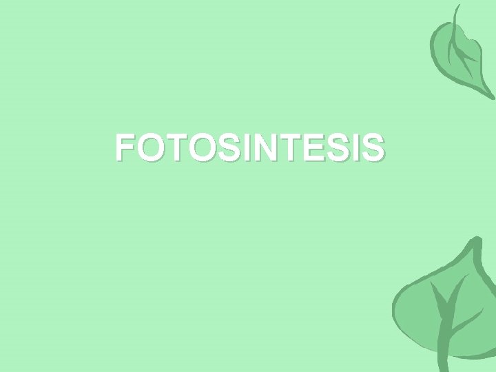 FOTOSINTESIS 