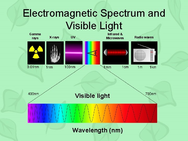 Electromagnetic Spectrum and Visible Light Gamma rays X-rays UV Infrared & Microwaves Visible light