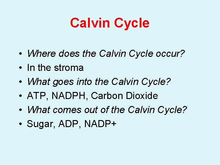 Calvin Cycle • • • Where does the Calvin Cycle occur? In the stroma