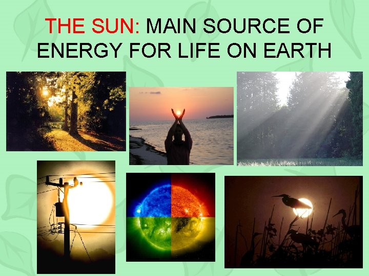 THE SUN: MAIN SOURCE OF ENERGY FOR LIFE ON EARTH 