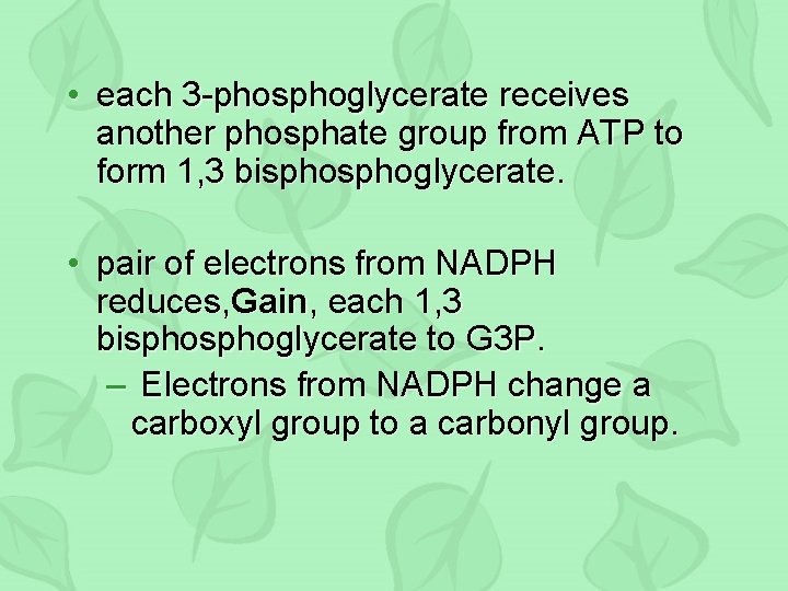  • each 3 -phosphoglycerate receives another phosphate group from ATP to form 1,