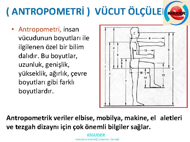 ( ANTROPOMETRİ ) VÜCUT ÖLÇÜLERİ • Antropometri, insan vücudunun boyutları ile ilgilenen özel bir ( ANTROPOMETRİ ) VÜCUT ÖLÇÜLERİ • Antropometri, insan vücudunun boyutları ile ilgilenen özel bir