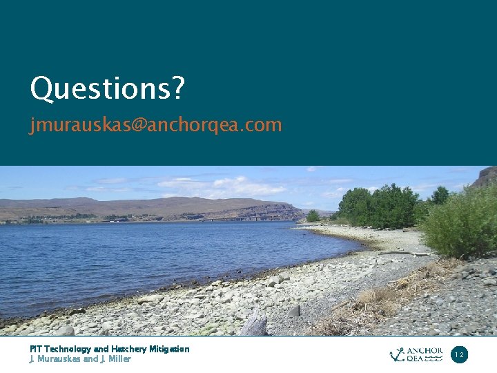 Questions? jmurauskas@anchorqea. com PIT Technology and Hatchery Mitigation J. Murauskas and J. Miller 12