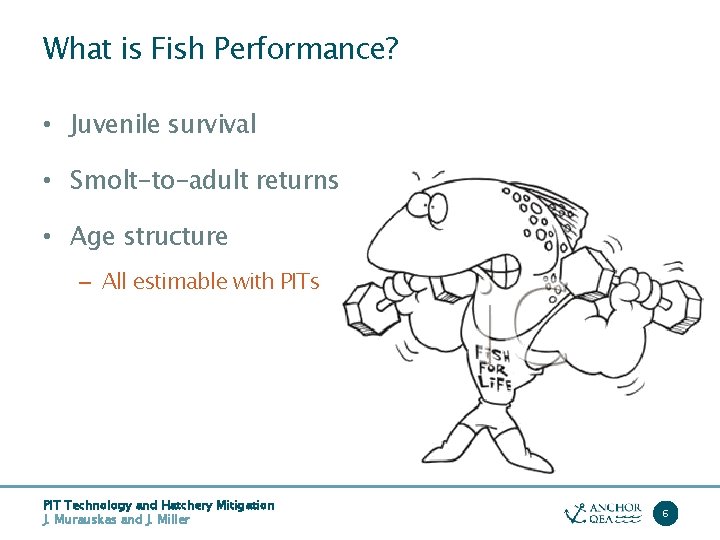 What is Fish Performance? • Juvenile survival • Smolt-to-adult returns • Age structure –