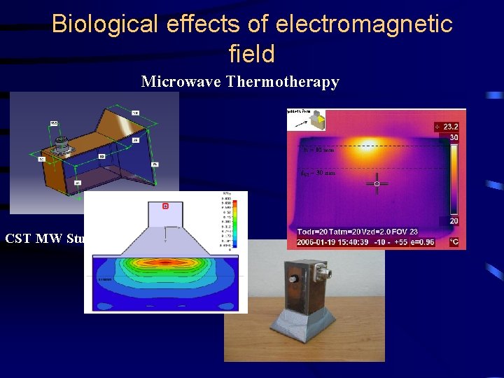 Biological effects of electromagnetic field Microwave Thermotherapy CST MW Studio Biological effects of electromagnetic field Microwave Thermotherapy CST MW Studio