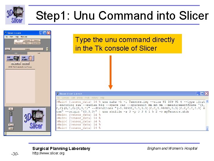 Step 1: Unu Command into Slicer Type the unu command directly in the Tk