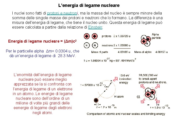 L’energia di legame nucleare I nuclei sono fatti di protoni e neutroni, ma la
