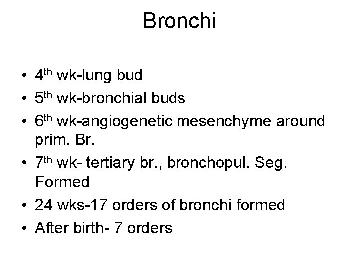 Bronchi • 4 th wk-lung bud • 5 th wk-bronchial buds • 6 th