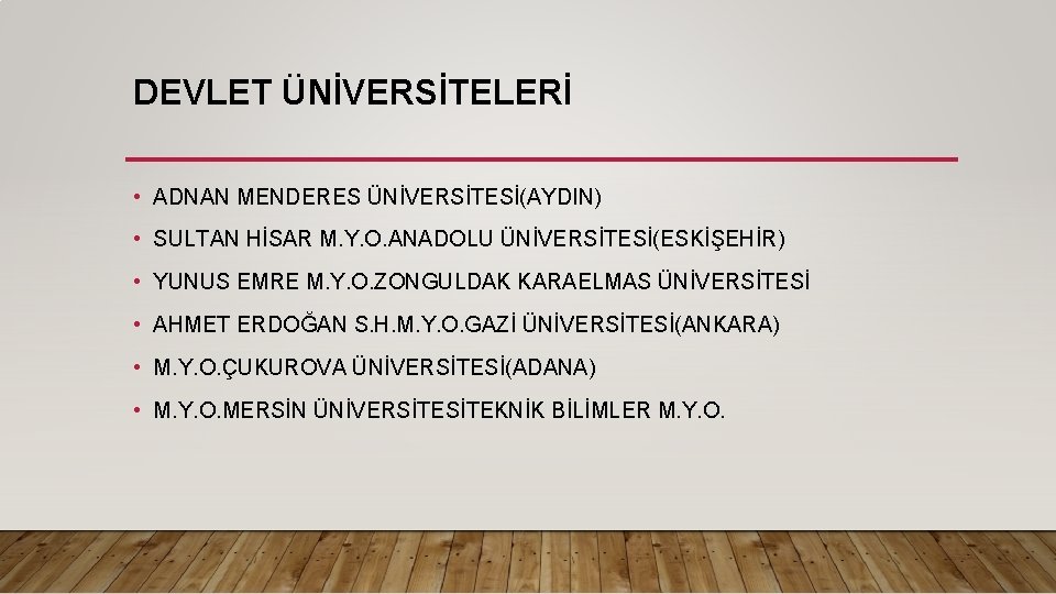 DEVLET ÜNİVERSİTELERİ • ADNAN MENDERES ÜNİVERSİTESİ(AYDIN) • SULTAN HİSAR M. Y. O. ANADOLU ÜNİVERSİTESİ(ESKİŞEHİR)