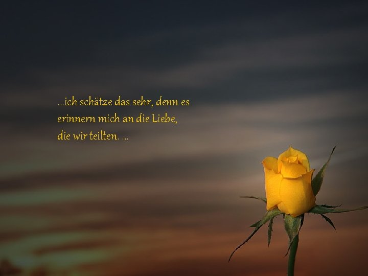 . . . ich schätze das sehr, denn es erinnern mich an die Liebe,