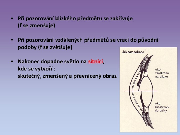  • Při pozorování blízkého předmětu se zakřivuje (f se zmenšuje) • Při pozorování